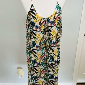 Bishop Young Summer dress